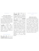 Tipos de Contabilidad