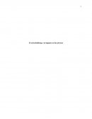 El cyberbullying y su impacto en los jovenes