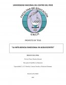 La inteligencia emocional en adolescentes