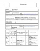 AUDITORIA ANUAL IINTERNA RST-ZOMAC S.A.S