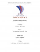 Cascadas de neurotrasmisores