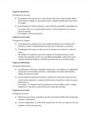 Empresas financieras Presupuesto de tesorería