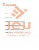 ACTIVIDAD 1: Análisis del comportamiento del consumidor