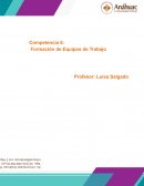 FORMACION DE EQUIPOS DE TRABAJO