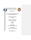 Sistema de inspeccion de fugas radiador