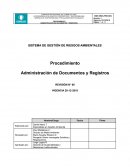 SISTEMA DE GESTIÓN DE RIESGOS AMBIENTALES