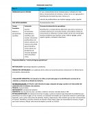 Plan analitico Grado: 4°