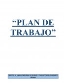 OBJETIVOS PREVISTOS EN LOS TDR