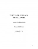 PLAN DE NEGOCIOS Helados artesanales