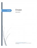 Ensayo critico geometria