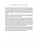 DEL NACIMIENTO A LOS 3 AÑOS DE EDAD