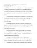 RESUMEN SOBRE LA CATEGORIA GENERO. UNA INTRODUCCION TEORICO-METODOLOGICA