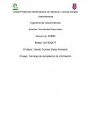 Ensayo Técnicas de recopilación de información