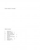 Informe proyecto catastral