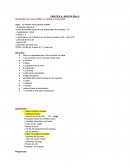 PRACTICA SECO DE POLLO