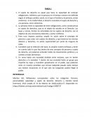 Tarea capacidad y sujeto de derecho