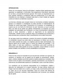 ENSAYO DE LA CONTABILIDAD ACTUAL