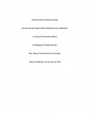 Ensayo de la practica docente