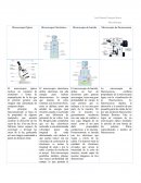 Microbiología. Microscopía