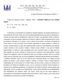 RESUMEN SIMBOLICO DEL PRIMER GRADO