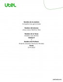 Analisis caso bimbo