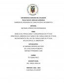 MANEJO DEL PARALELISMO Y CONCURRENCIA EN PYTHON