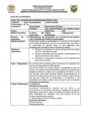 Mejoramiento del Ornamento de la Cancha 04 de Octubre con la Siembra de Plantas Ornamentales