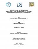 Seguridad en Firewalls