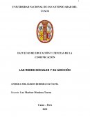 LAS REDES SOCIALES Y SU ADICCIÓN
