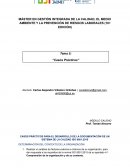 CASOS PRÁCTICOS PARA EL DESARROLLO DE LA DOCUMENTACIÓN DE UN SISTEMA DE LA CALIDAD ISO 9001:2015