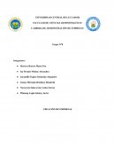 Diseño y Viabilidad de la propuesta de empresa