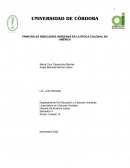 PRINCIPALES REBELIONES INDÍGENAS EN LA ÉPOCA COLONIAL EN AMÉRICA