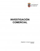 INVESTIGACION COMERCIAL-PRACTICA