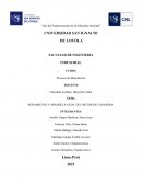 Rodamiento y Arandela Axial del Motor