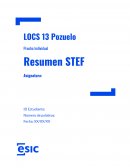 Resumen STEF