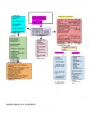 Aspectos básicos de la Cirugía Bucal