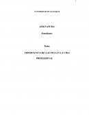 IMPORTANCIA DE LAS TICS EN LA VIDA PROFESIONAL