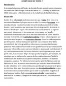 La Avenida del Nevá comentario de texto