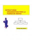 ESTRUTURAS ORGANIZATIVAS PARA LA FUERZA DE VENTAS
