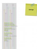 CASO CIRQUE DU SOLEIL