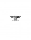 BIOECONOMIA EN EL PERÚ