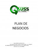 PLAN DE NEGOCIOS Gauss Global Investiment LLC