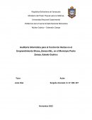 Auditoria Informatica para el control de ventas en el Emprendimiento Shoes