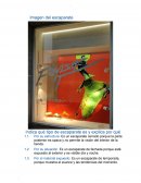 Imagen del escaparate