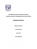 Reportaje de minerales Materia: Química III