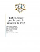 Elaboración de papel a partir de cascarilla de arroz