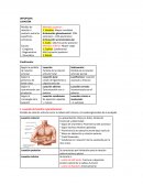 ORTOPEDIA: LUXACIÓN: