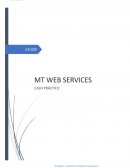MODELO DE NEGOCIO PARA MT WEB SERVICES