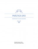 PRÁCTICA DFO . ENSANCHADO DE PULSOS GAUSIANOS