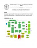 DETERMINACIONES CUALITATIVAS Y CUANTITATIVAS DE MUESTRAS GRASAS